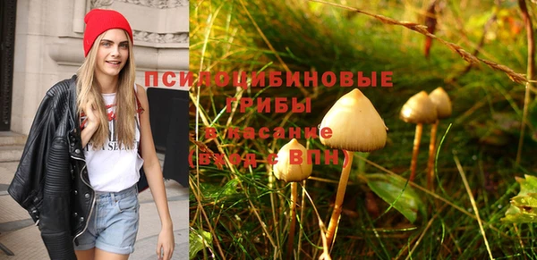 стафф Абдулино