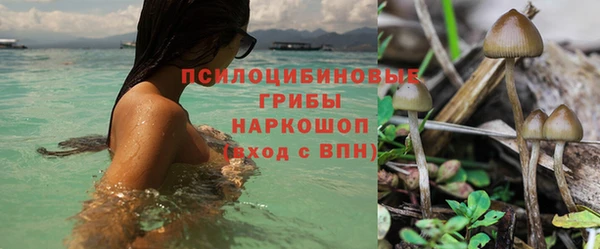 стафф Абдулино