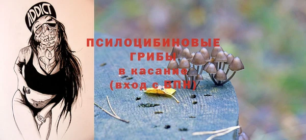 стафф Абдулино