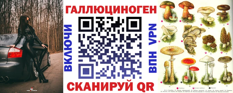 Галлюциногенные грибы Psilocybine cubensis Кохма